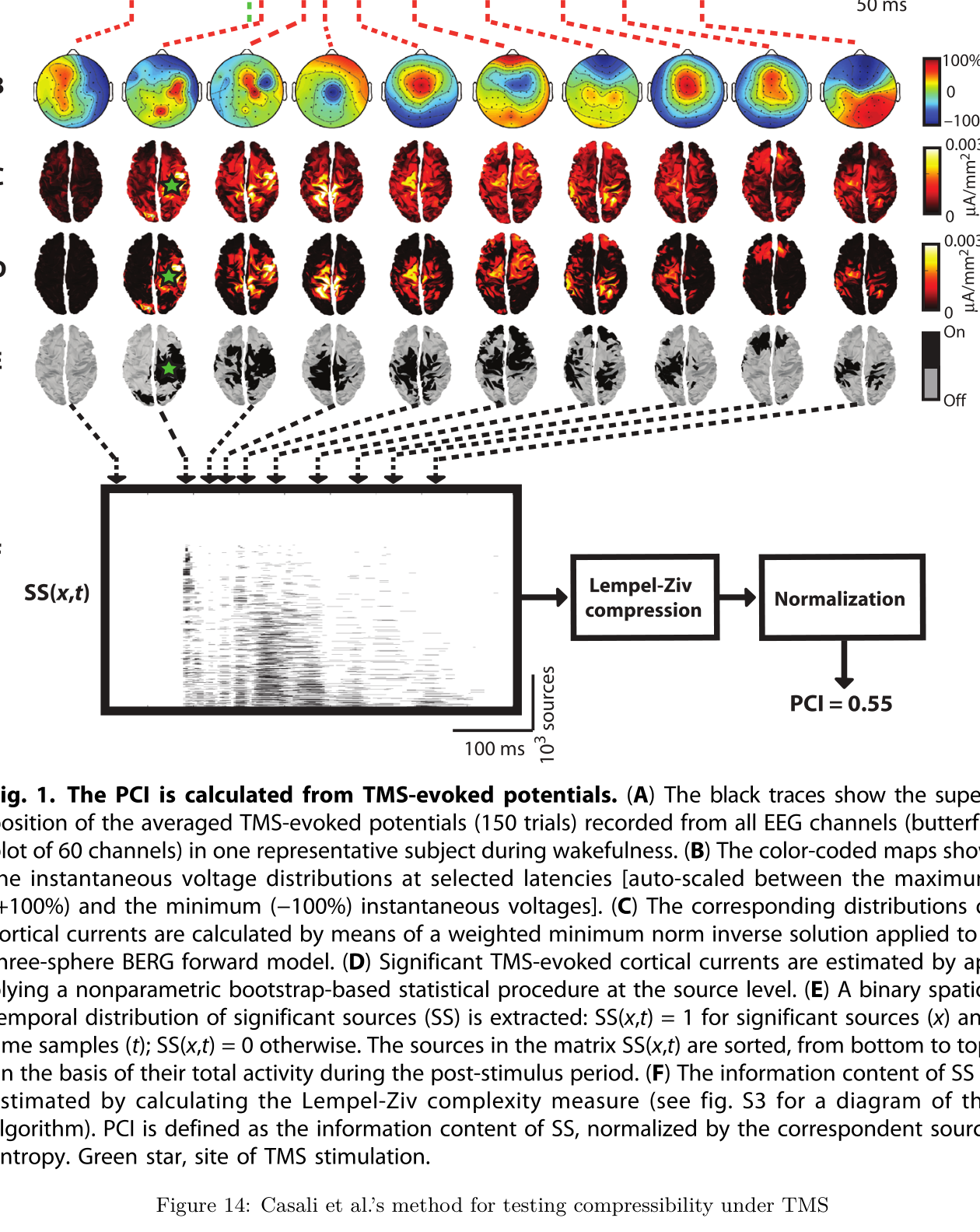 Figure 14: Casali et al.’s method for testing compressibility under TMS.